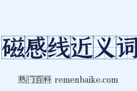 磁感线近义词是什么意思的图片